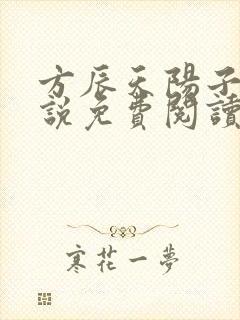 方辰天阳子的小说免费阅读