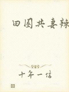 田园共妻辣