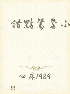 错点鸳鸯小说