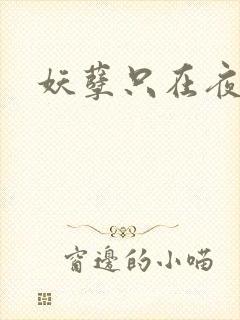 妖孽只在夜里哭