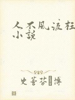 人不风流枉少年小说