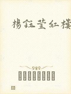 杨钰莹红楼