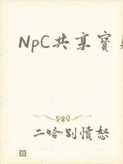 NpC共享宝贝
