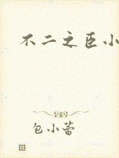 不二之臣小说