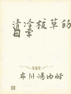 清冷校草的抹布日常