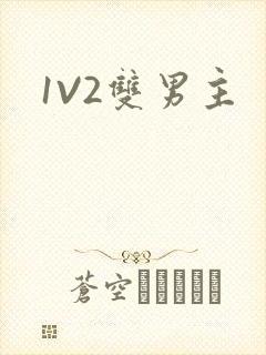 1V2双男主