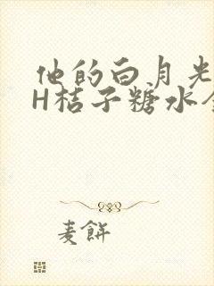 他的白月光HVH桔子糖水全文