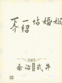 下一站婚姻剧情介绍