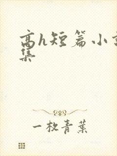 高h短篇小说合集