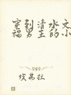 穿到清水文里造福男主的小说