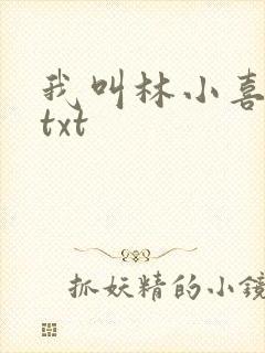 我叫林小喜小说txt