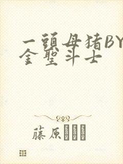 一头母猪BY黄金圣斗士