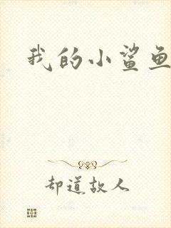 我的小鲨鱼