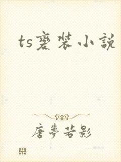 ts变装小说