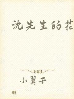 沈先生的花式调