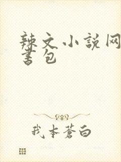 辣文小说网第二书包