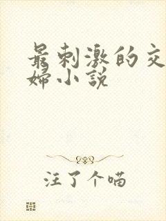 最刺激的交换夫妇小说