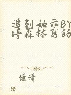 追到她乖BY黑暗森林写的小说