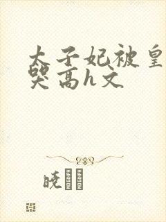 太子妃被皇上c哭高h文