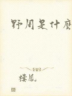 野周是什么意思