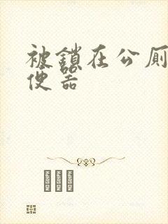 被锁在公厕当坐便器