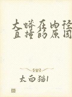 大蟒在内径横冲直撞的原因