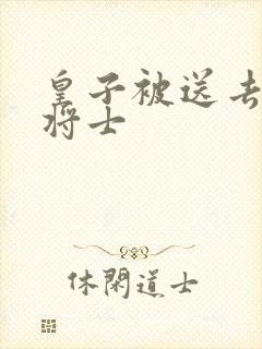 皇子被送去犒劳将士