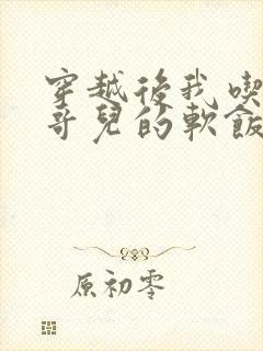 穿越后我吃到了哥儿的软饭炉山灰