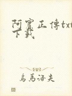 阿宾正传txt下载