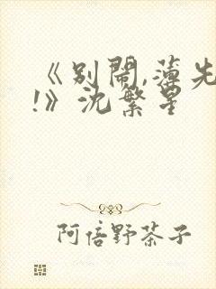 《别闹,薄先生!》沈繁星