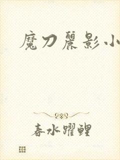魔刀丽影小说