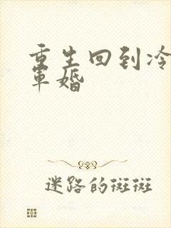 重生回到冷战前军婚