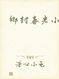 乡村春光小说