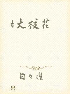 t大校花