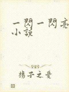 一闪一闪亮星星小说