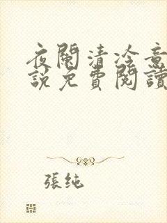 夜阑清冷意欢小说免费阅读