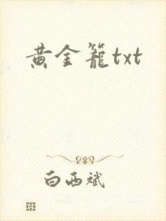 黄金笼txt