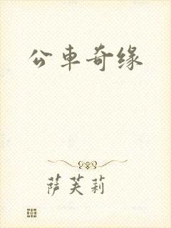 公车奇缘