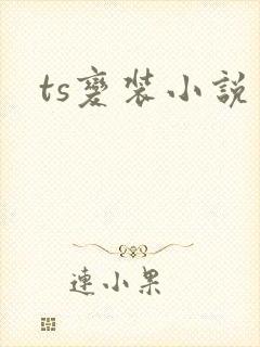 ts变装小说