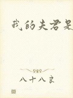 我的夫君是冥王