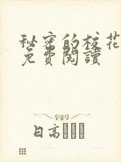 秘密的校花小说免费阅读