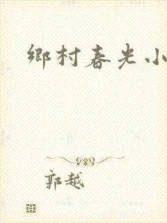 乡村春光小说