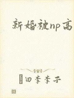 新婚被np高h