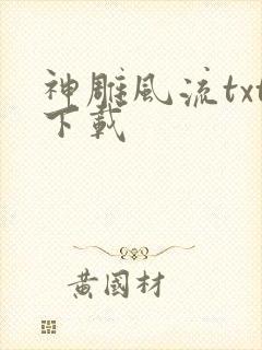 神雕风流txt下载