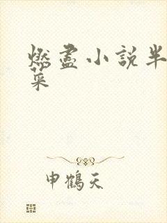 燃尽小说半截白菜