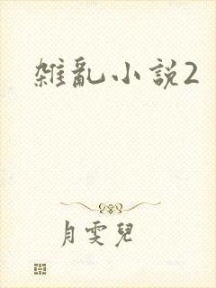 杂乱小说2