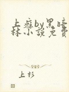 上瘾by黑暗森林小说免费