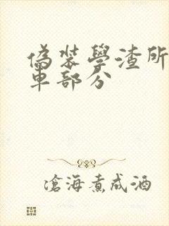 伪装学渣所有开车部分