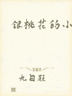 银桃花的小说