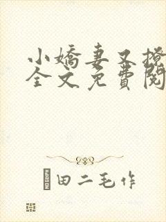 小娇妻又撩又甜全文免费阅读